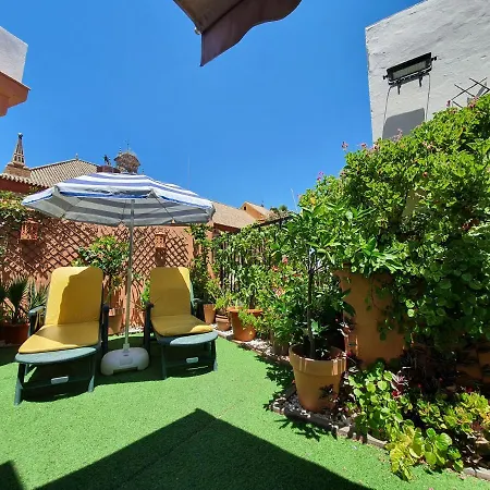 Apartment Atico San Clemente